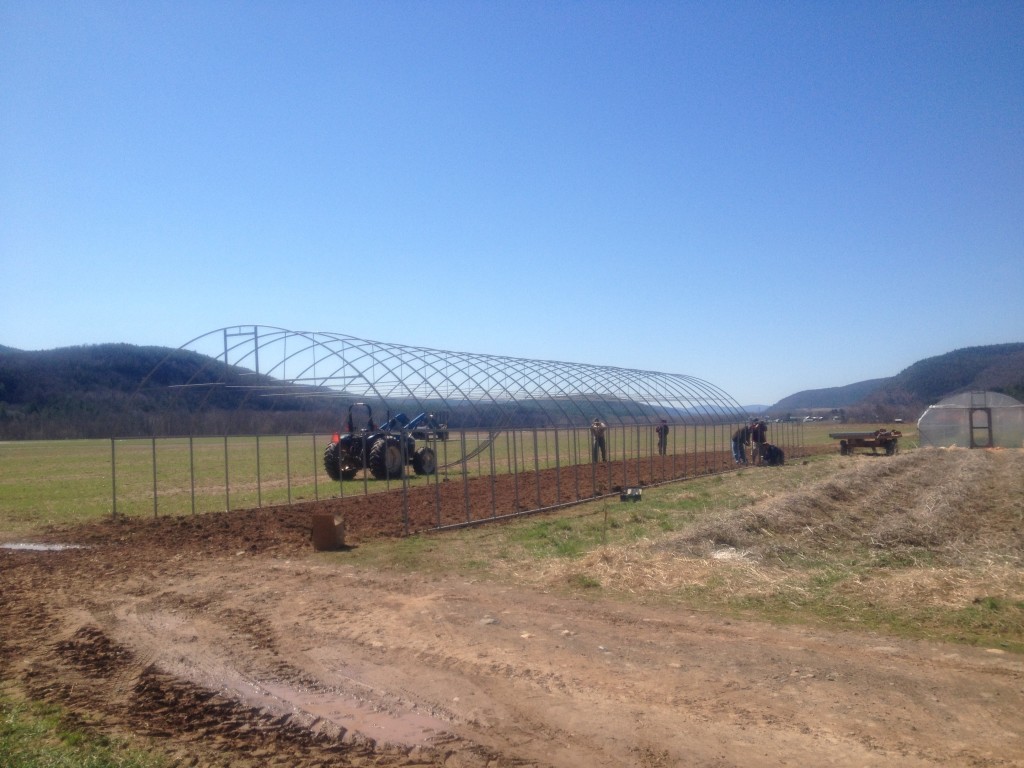 Building the 5th High Tunnel at Barber's Farm. 